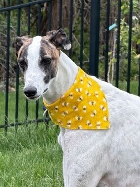 Yellow Busy Bee Scrunchie Dog Bandana - See Size Chart in Photos